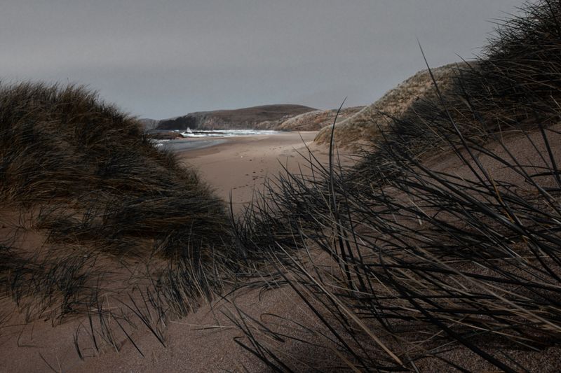 Peaceful beach scene with sand dunes and ocean shore under overcast sky.