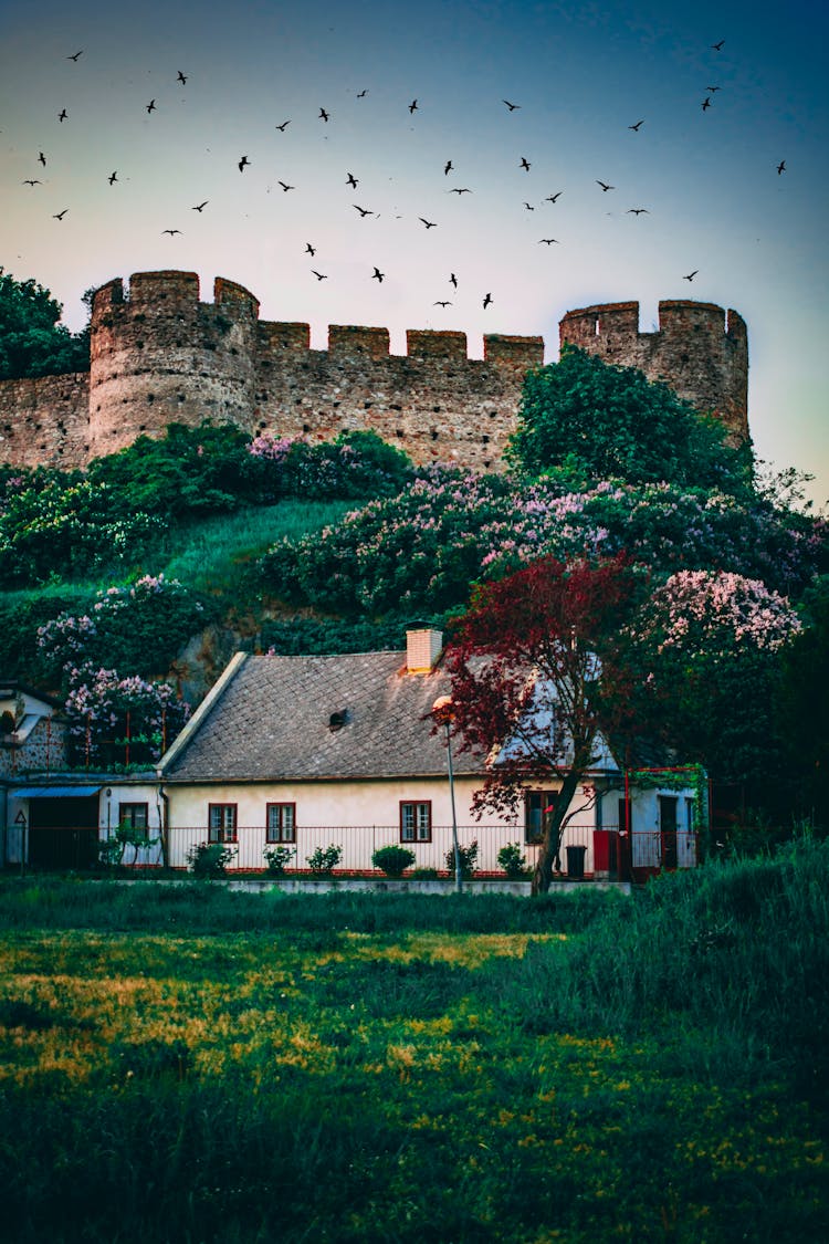 House Beside Trees And Castle