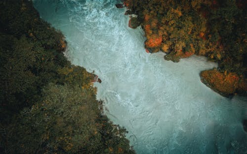 Aerial Photo of a Rough River Flowing through Forest