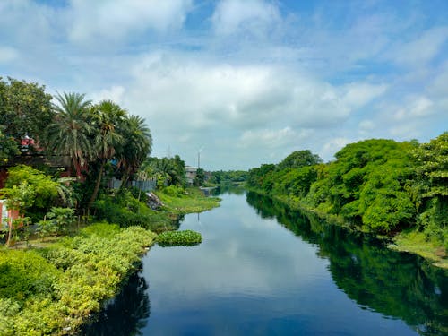 강, 경치, 녹지의 무료 스톡 사진