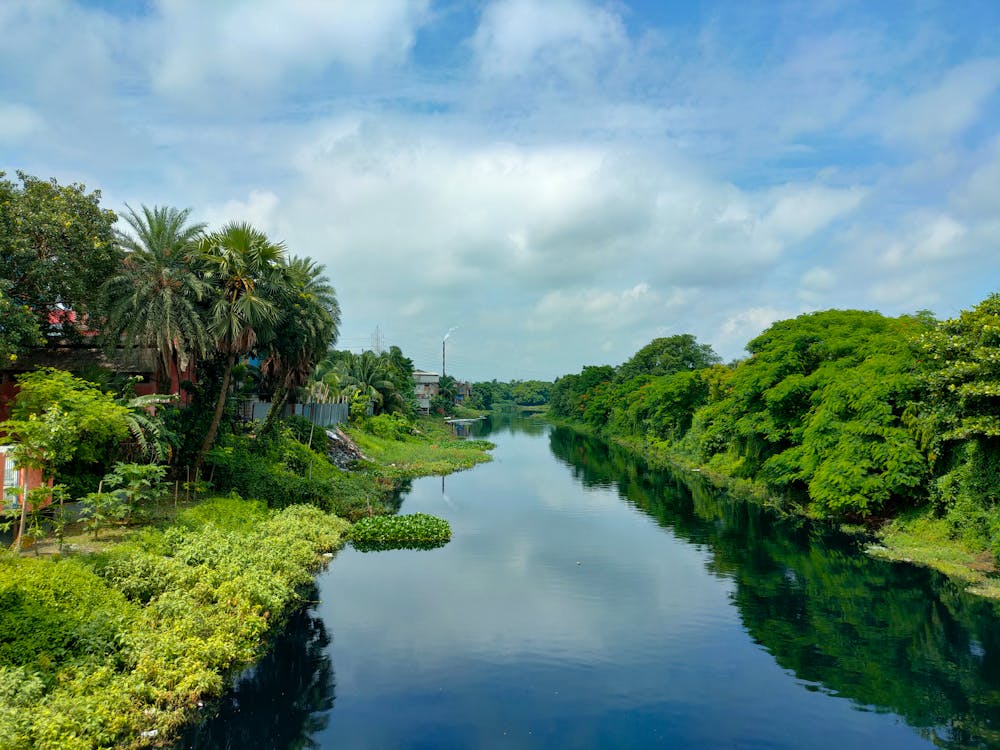Landscape with Lush Greenery on River Banks