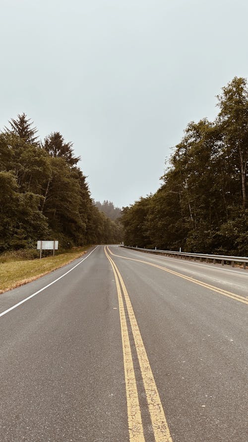 Empty Road with Trees around