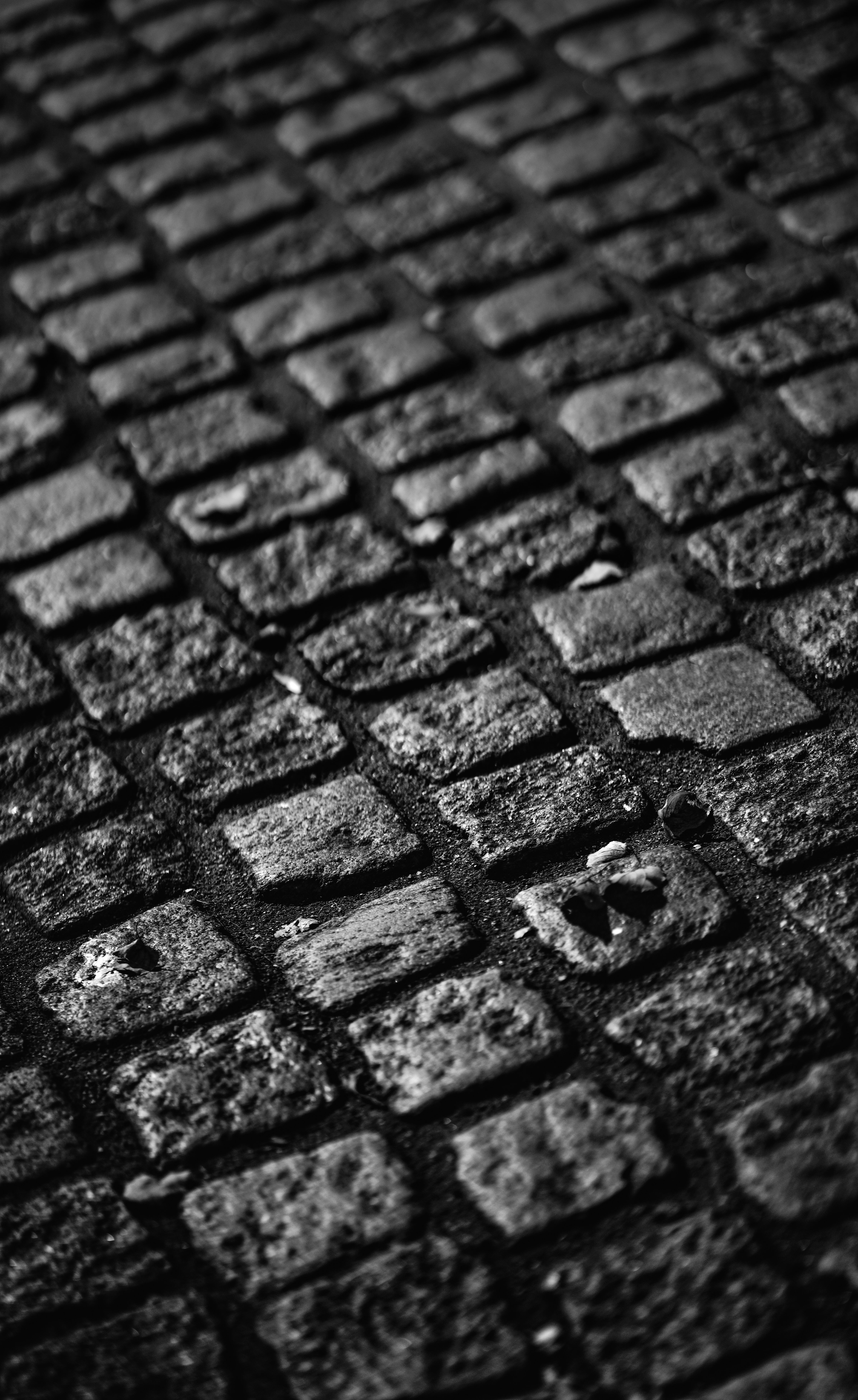 High-contrast black and white photo of a cobblestone street's detailed texture.