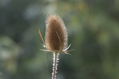 相爱却不能在一起的句子 两个人相爱却不能在一起的句子