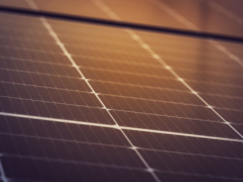 Close-up of rows of solar panel cells