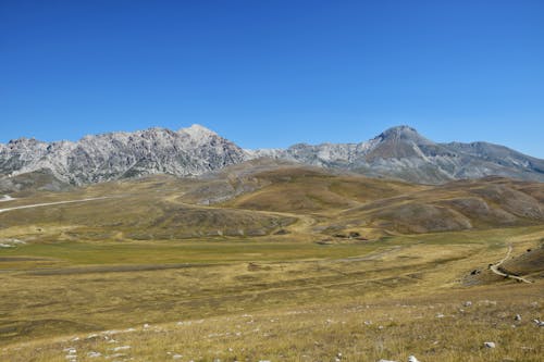 View of a Field and Rocky Mountains under Blue Sky
