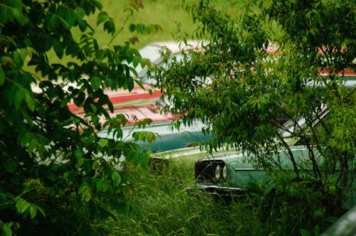 Free stock photo of blue, car, cars