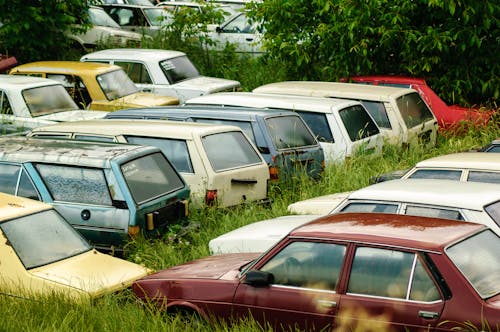 Rows of Abandoned Cars