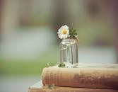 这是一部宁静的作品，一朵白花插在复古书上的玻璃瓶中，唤起简单与优雅