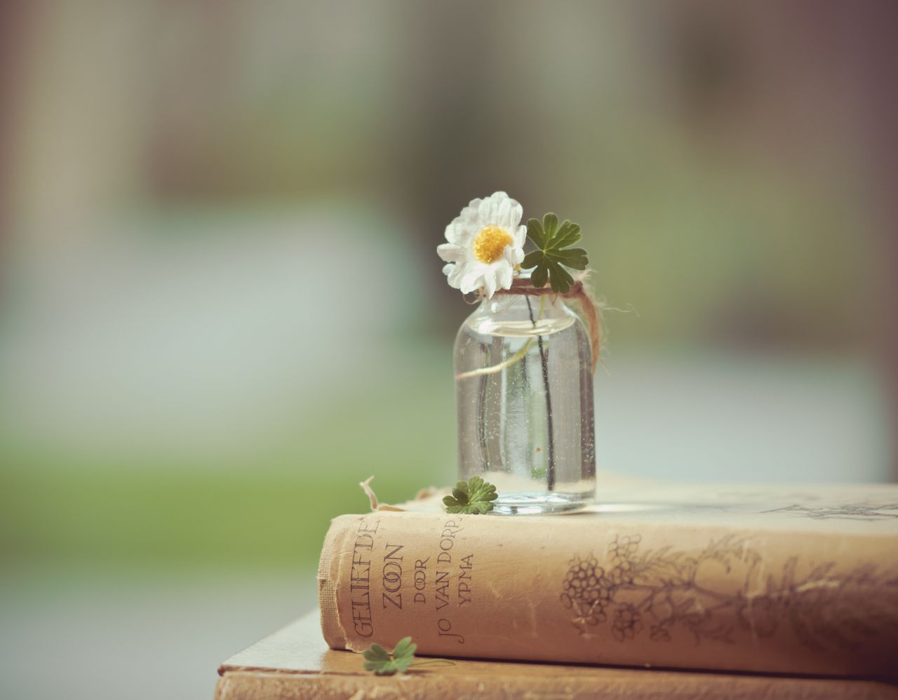 a serene composition featuring a white flower in a glass bottle atop a