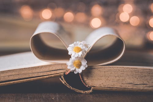 Close-Up Photo of Flowers in the Middle of Book Page