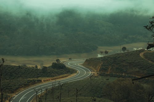 View of an Asphalt Road between Green Hills in Fog