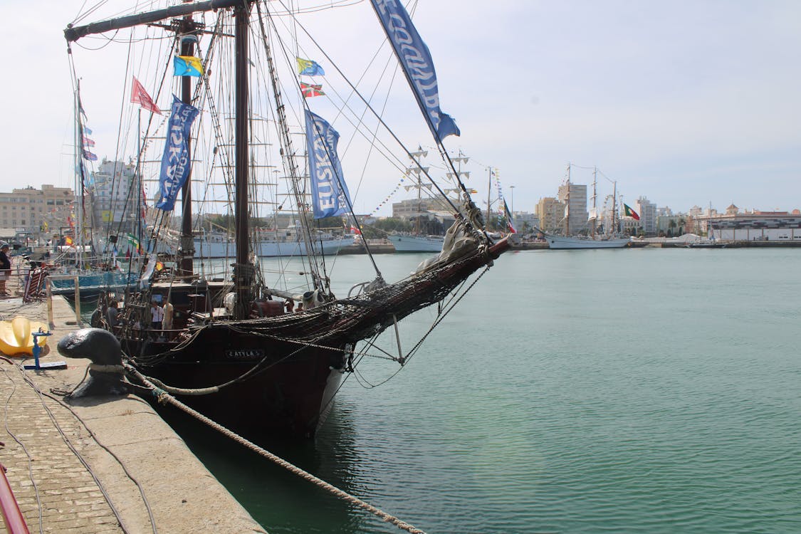 Regata de grandes veleros en Cádiz - Septiembre de 2023