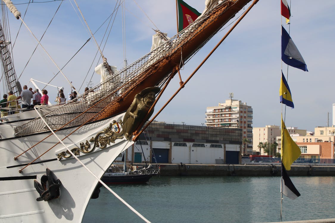 Regata de grandes veleros en Cádiz - Septiembre de 2023