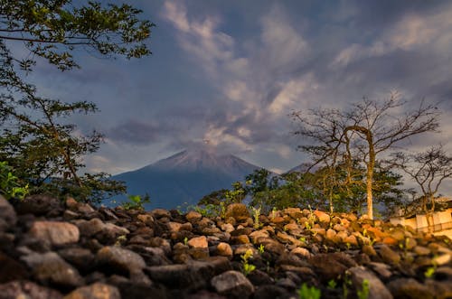 Fotos de stock gratuitas de amanecer, arboles, cielo azul