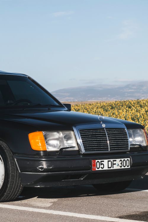 Free Vintage Mercedes parked on rural road amidst vibrant sunflowers in Turkey. Stock Photo