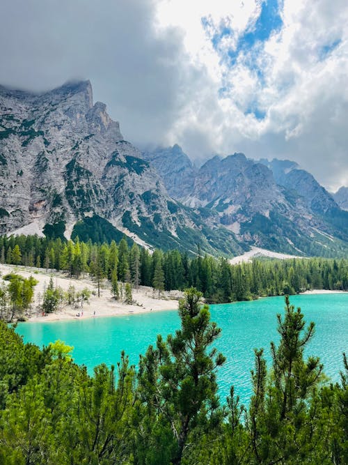 Základová fotografie zdarma na téma hora, jehličnan, jezero