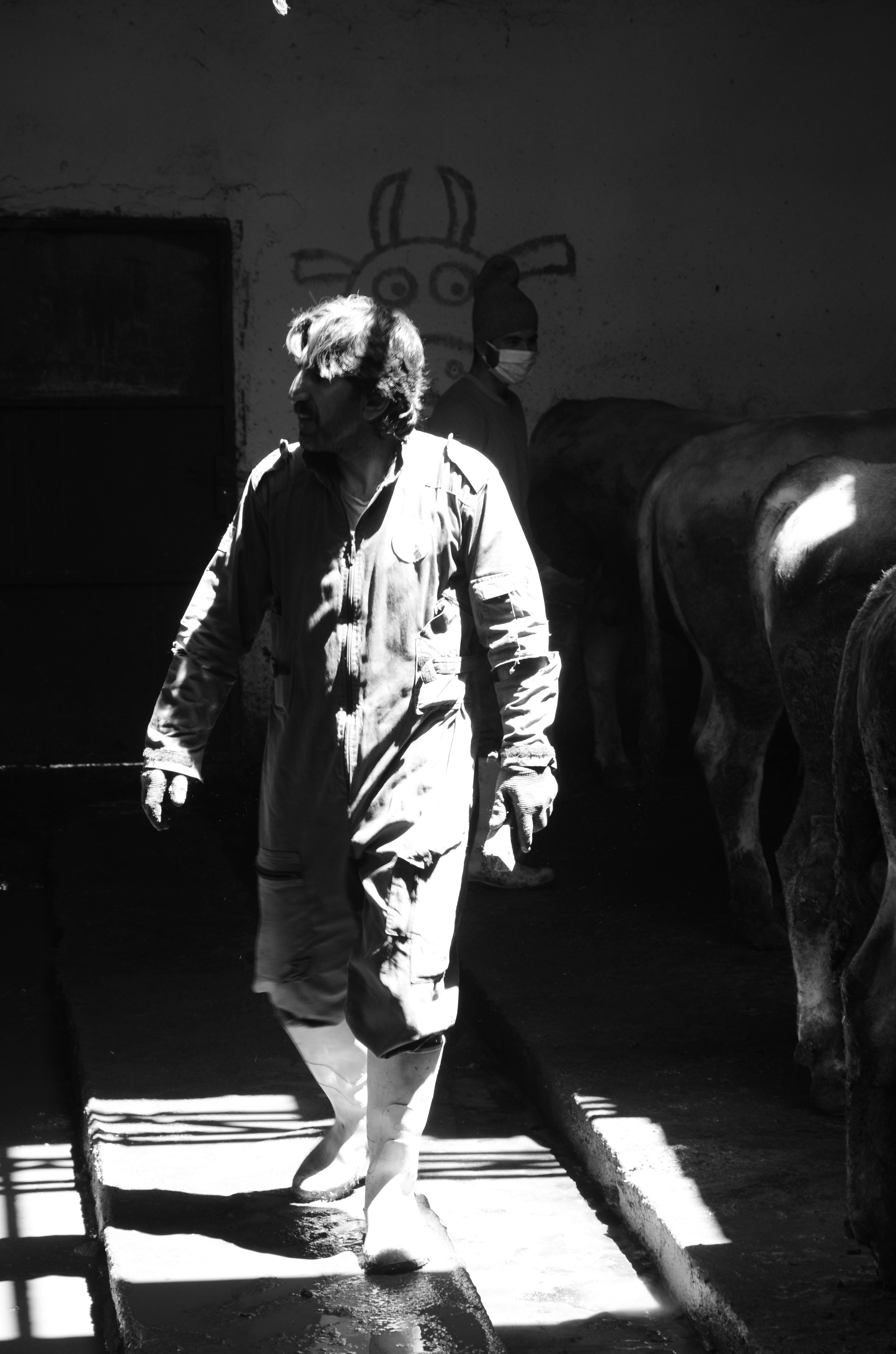 Wisconsin Farm Photos, Download The BEST Free Wisconsin Farm Stock