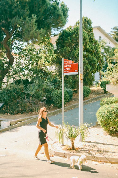 Woman Taking a Walk with Her Dog