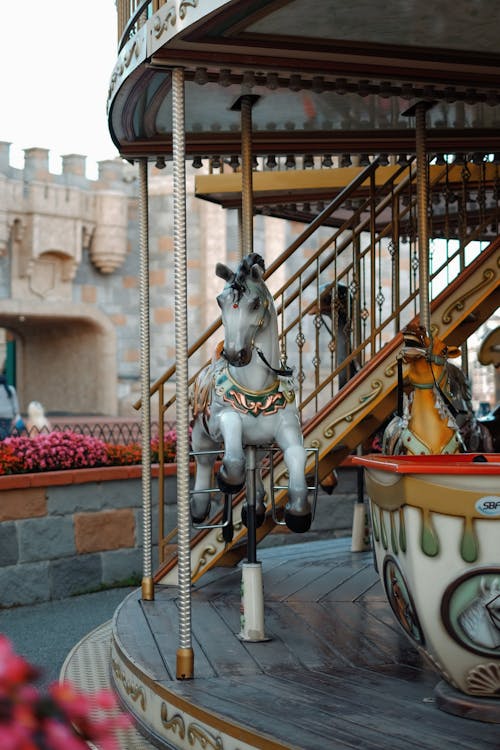 Foto profissional grátis de atração, carrossel, cavalo