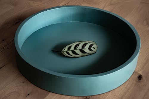Free stock photo of bowl, leaf, wood