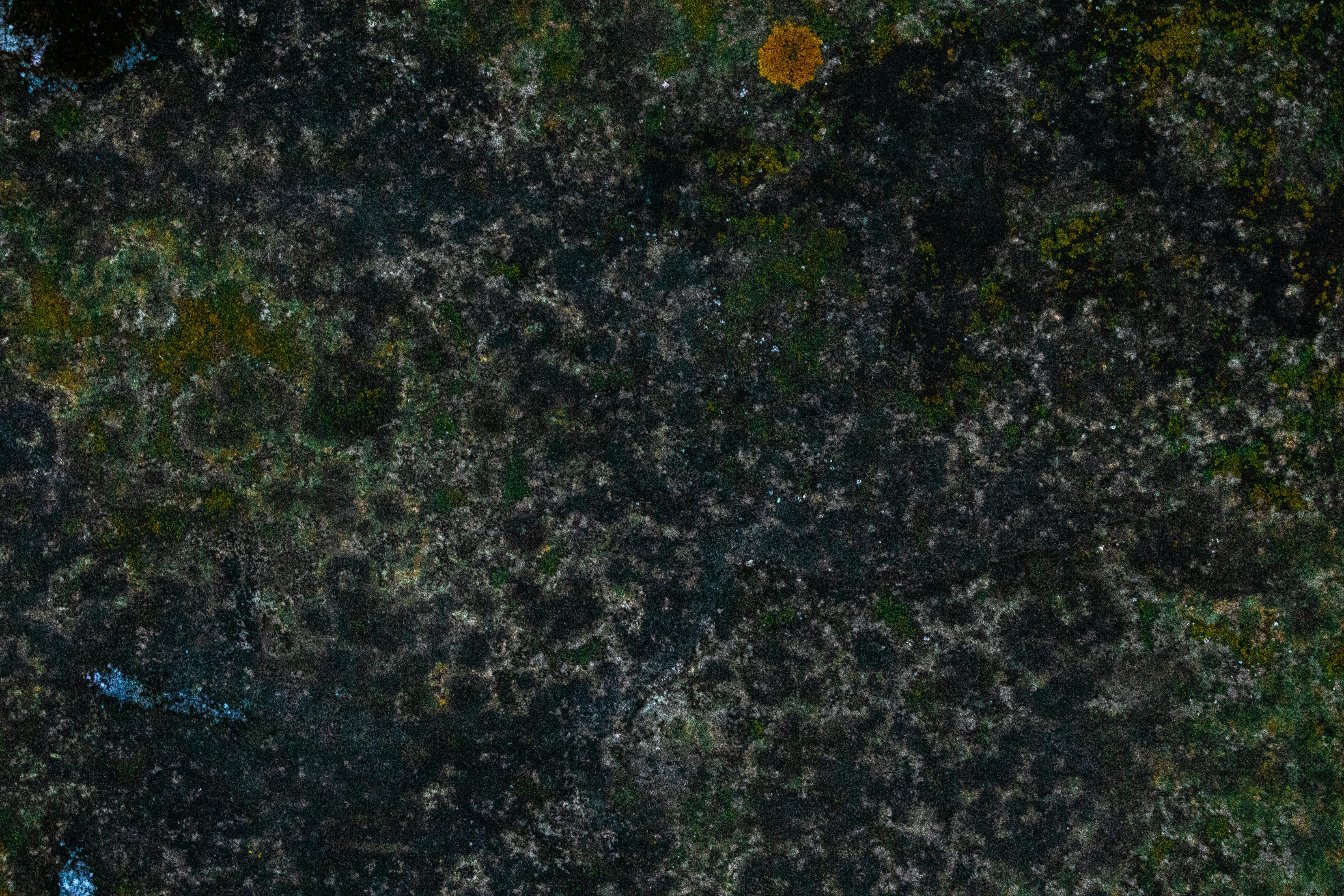 Free stock photo of black rock, green moss, macro