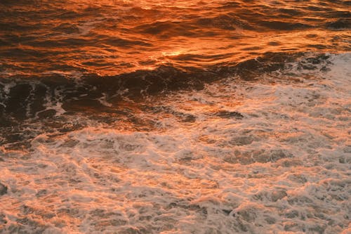 Foto profissional grátis de espuma, luz do sol, mar