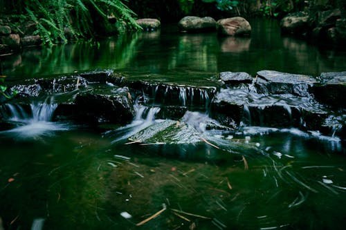 강, 물, 바위의 무료 스톡 사진