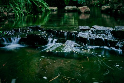 Free Serene scene of a small waterfall flowing over rocks surrounded by lush greenery in a forest setting. Stock Photo