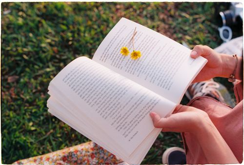 Free A person relaxes outdoors, holding a book with yellow flowers on the pages, surrounded by grass. Stock Photo
