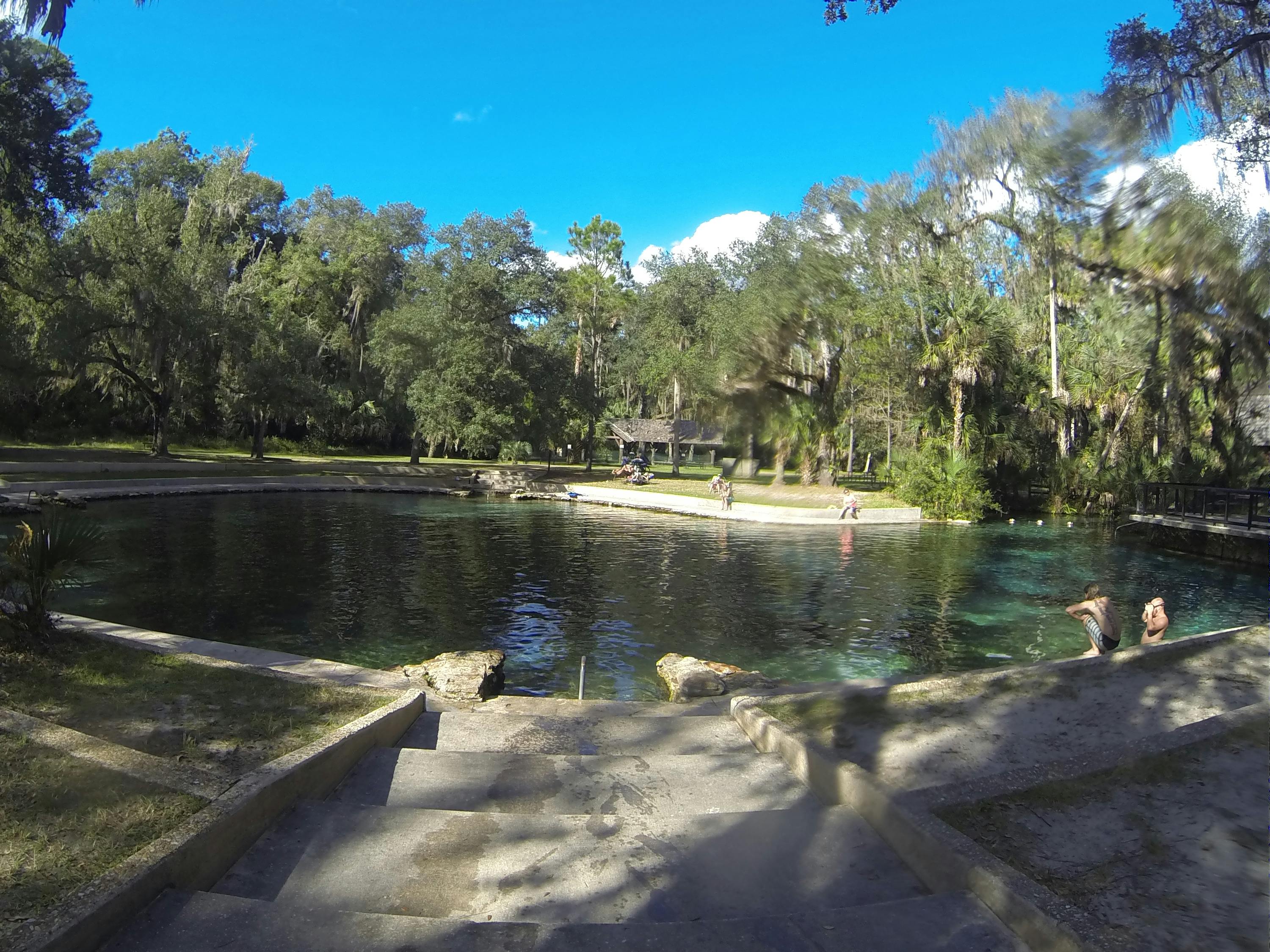 Free stock photo of Florida Salt Springs, Juniper Springs
