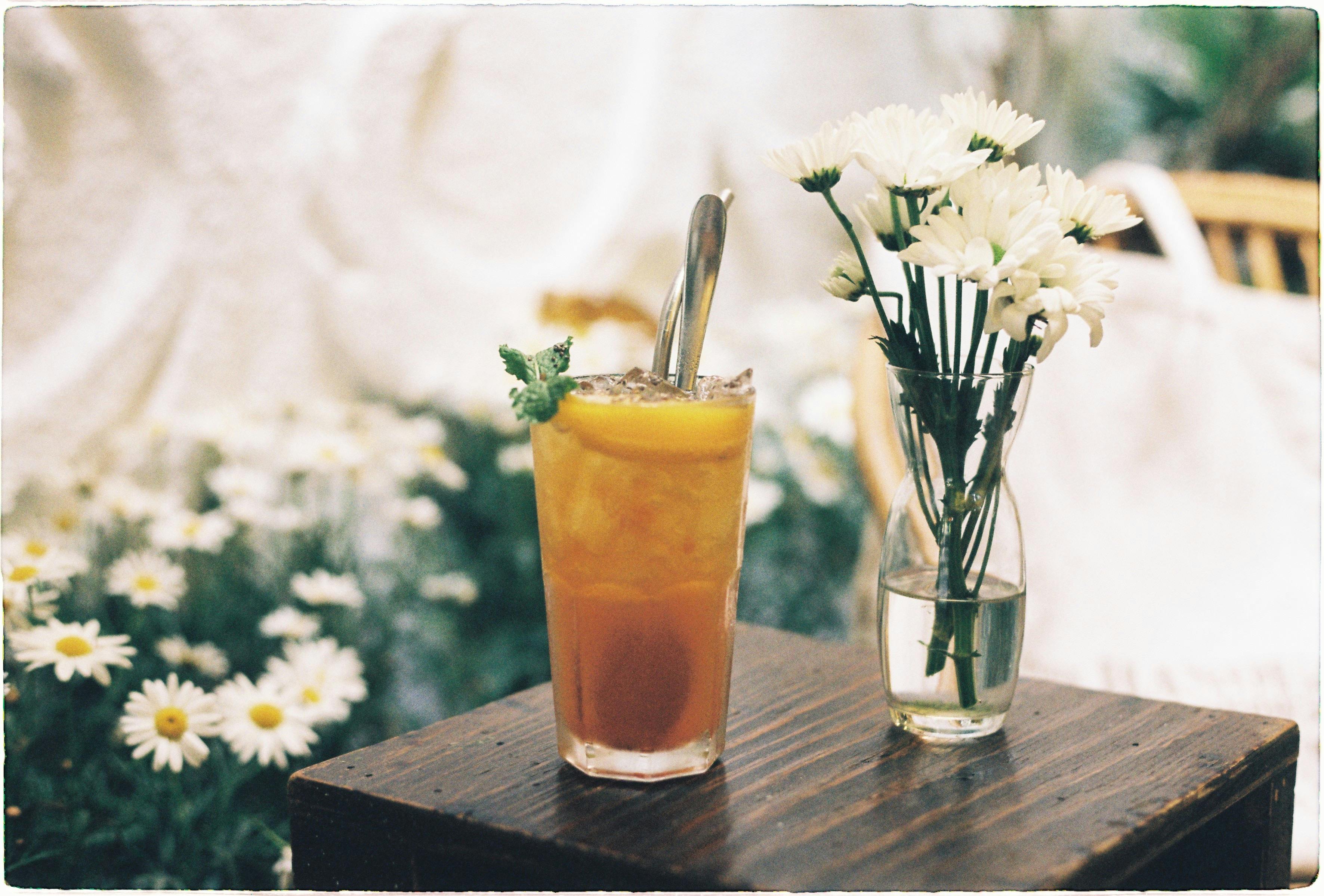 A refreshing iced citrus beverage with chamomile flowers on a wooden table.