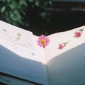 Open notebook with pressed flowers - photo by Anh Dang on Pexels