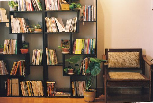 Free Warm living room scene featuring a bookshelf, armchair, and potted plants. Stock Photo