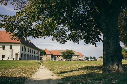 Path in Front of Buildings by the Field in Croatia 