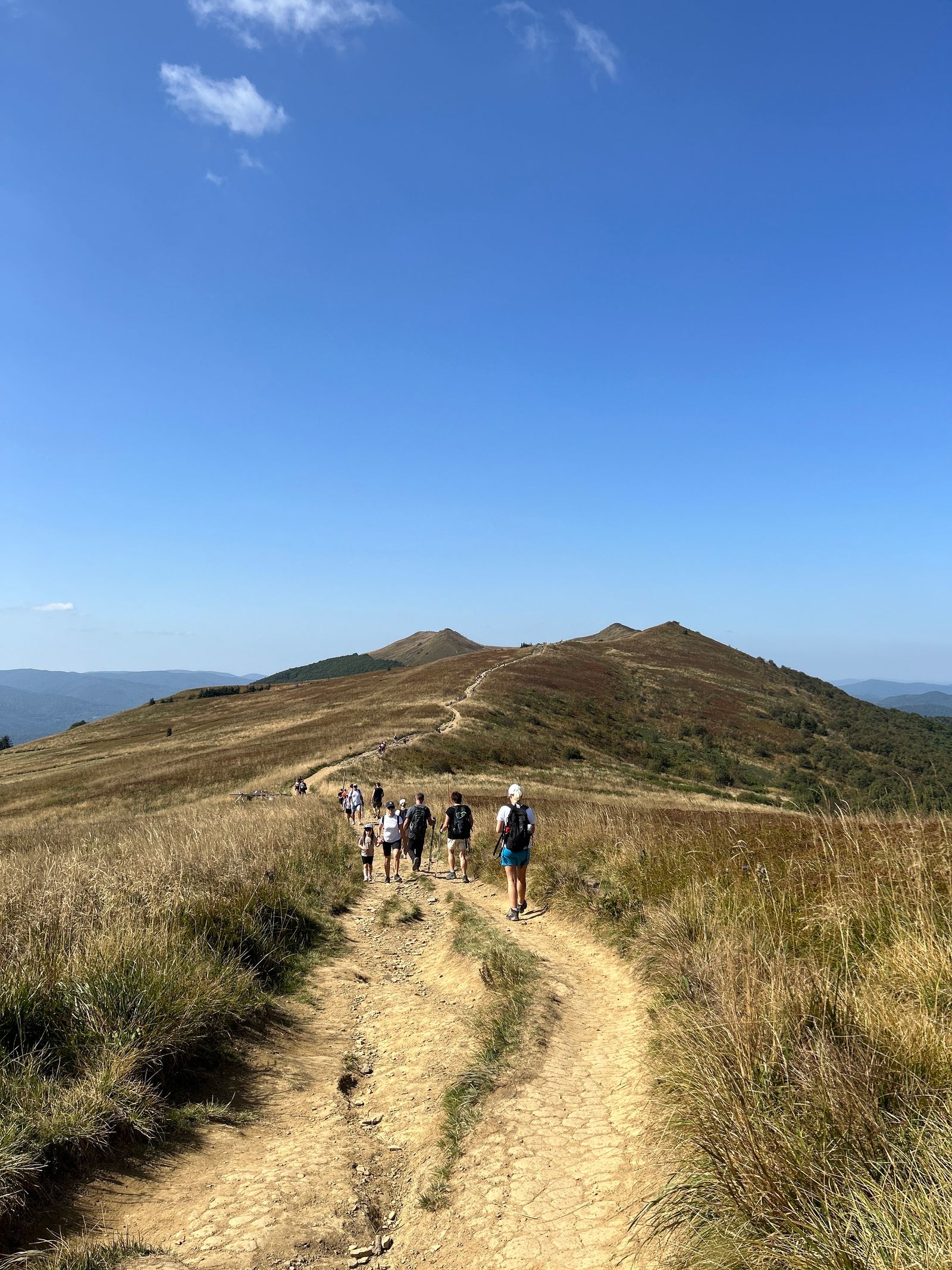 Groupe en randonnée dans la cédraie
