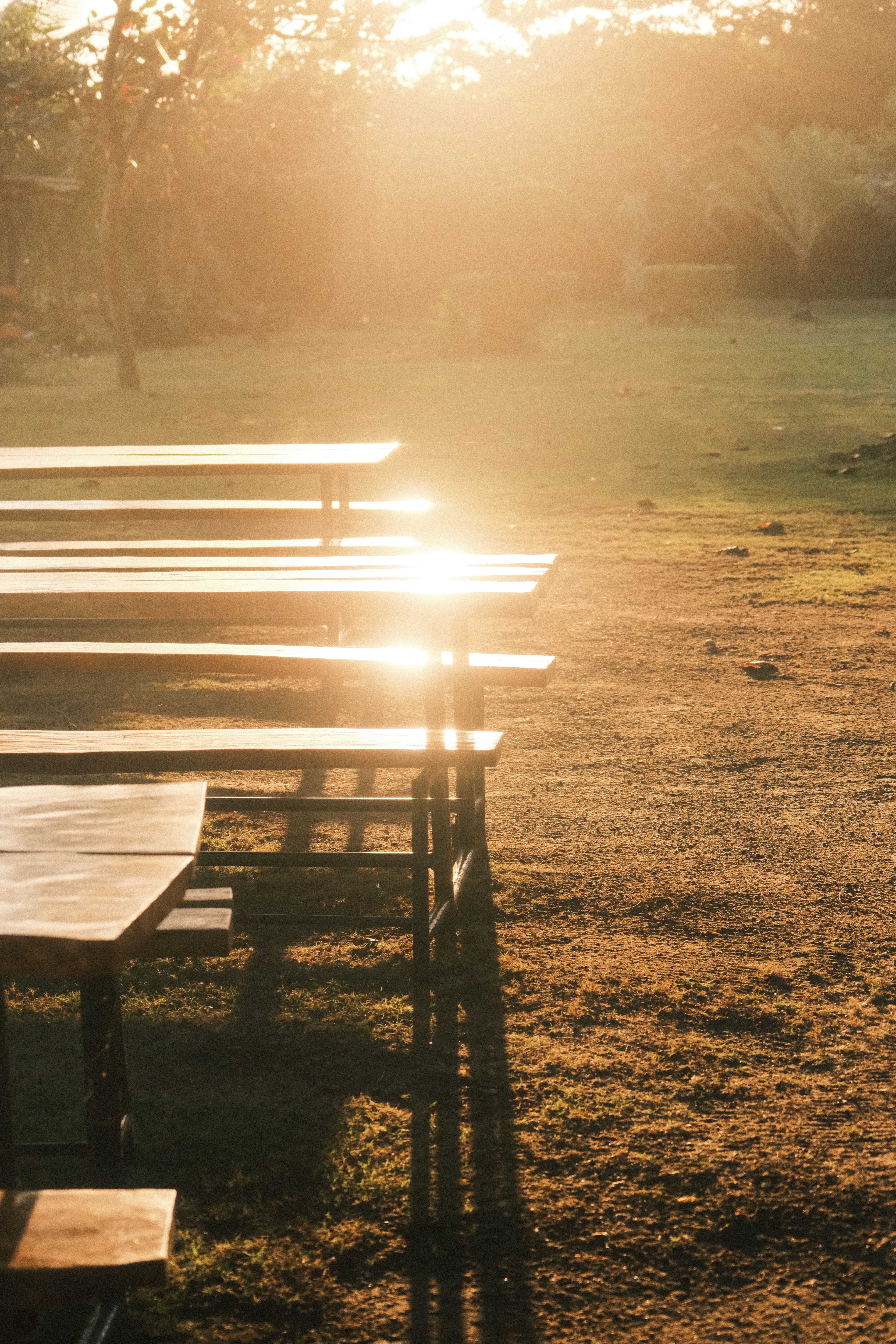 Sunrise over a quiet state park campground with empty picnic tables and evergreen trees