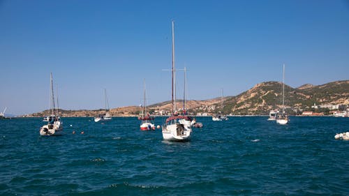 Sailboats in a Bay 