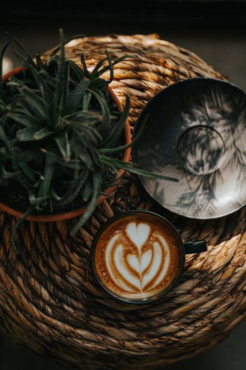 Cup of Coffee with Latte Art on the Table Next to a Pot with Aloe and a Saucer