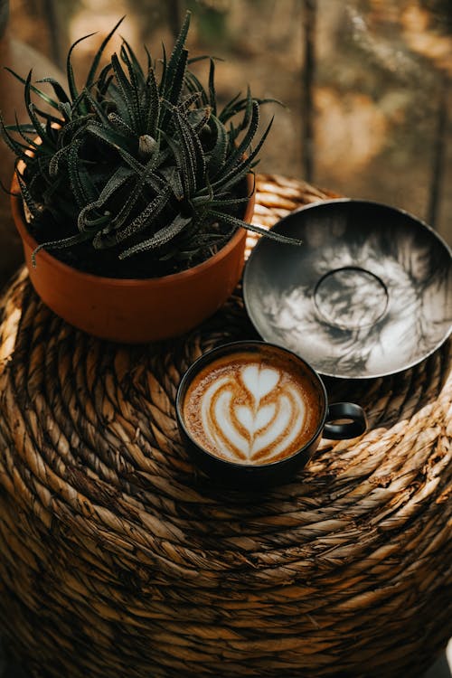 Morning Coffee on a Wicker Table Next to a Flowerpot