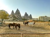 Horses grazing in the stunning rock formations of Cappadocia, Turkey, captured during sunset.