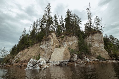 Coniferous Trees on a Rocky Cliff