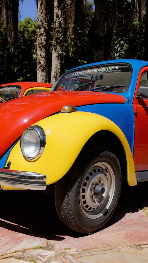 Foto profissional grátis de automóvel, Beetle, colorido