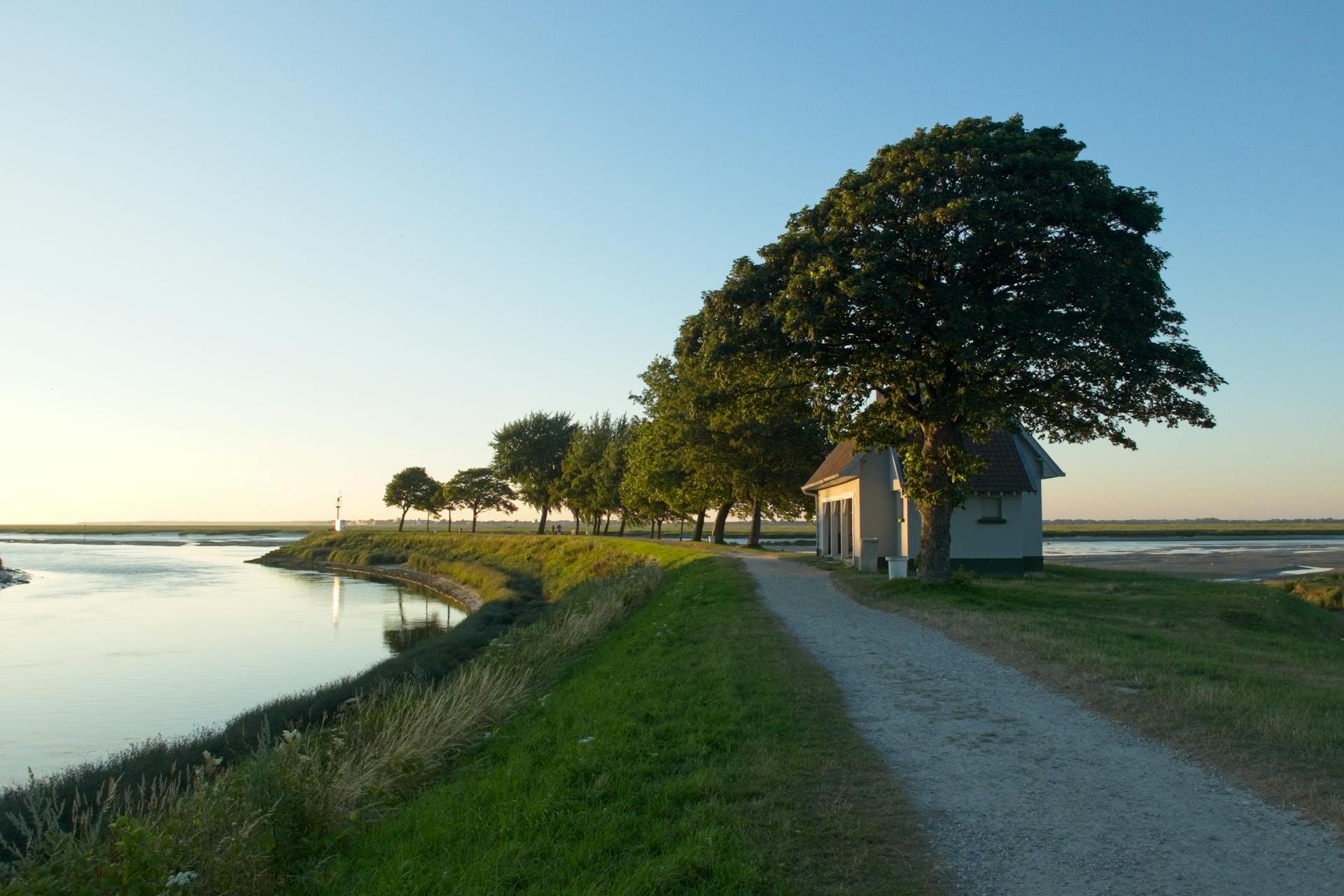 Hus och träd på en kanalbank, Saint-Valery-sur-Somme, Frankrike