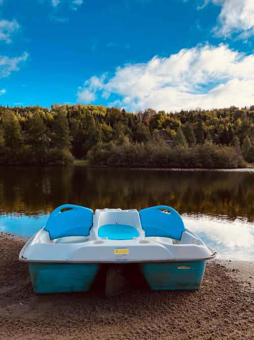 Free Serene scene of a paddle boat at a scenic riverbank with lush forest. Stock Photo