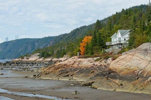 Gratis stockfoto met bergen, Bos, huis