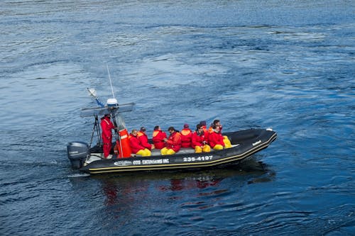 Darmowe zdjęcie z galerii z czerwony, gumowa tratwa, łódź