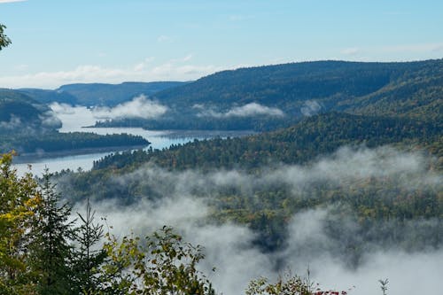 Clouds over Deep Forest and River