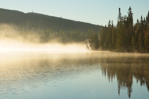 Fog over Lake in Forest