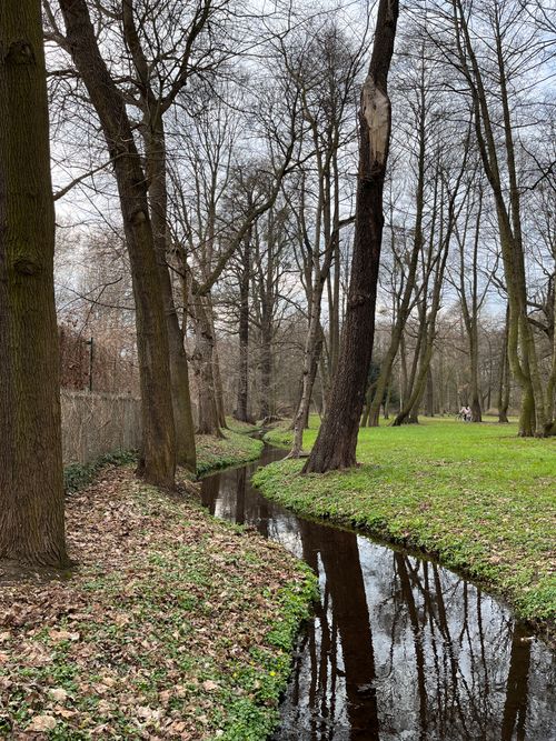 Free Peaceful park scene in Bydgoszcz, Poland with a meandering stream and bare trees. Stock Photo